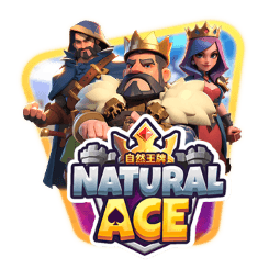 Natural Ace screenshot